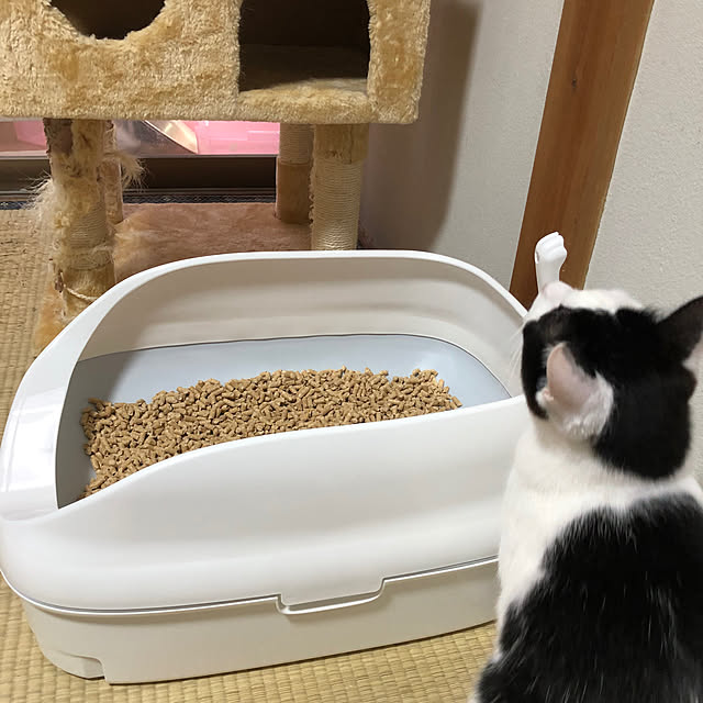 himawari123さんの実例写真