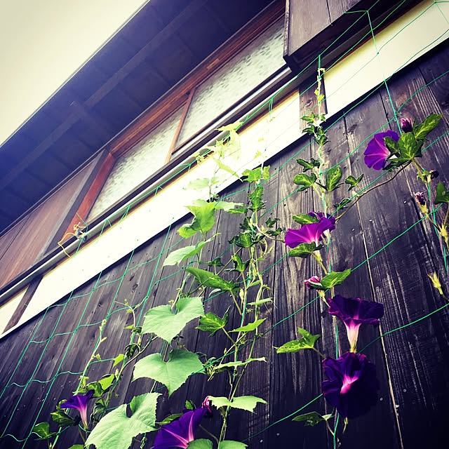 cantiamoさんの実例写真