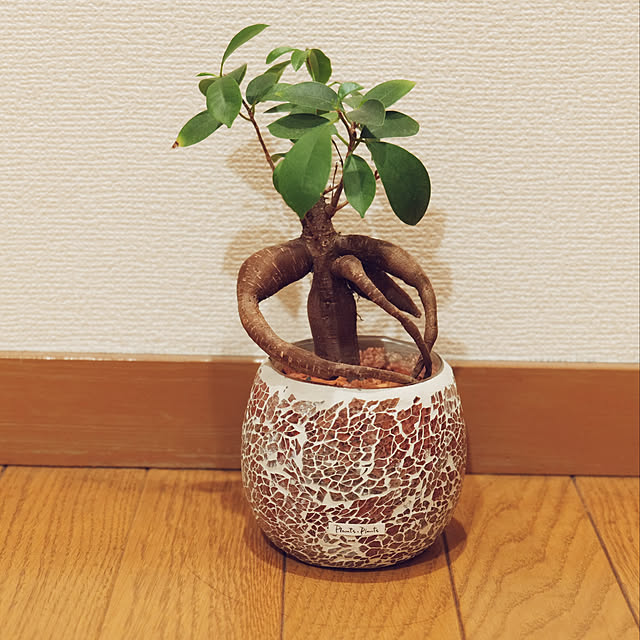 lil-lil-lilyさんの実例写真