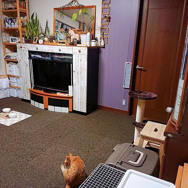 kikiさんの実例写真