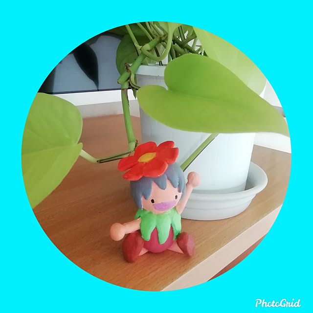 turaさんの実例写真