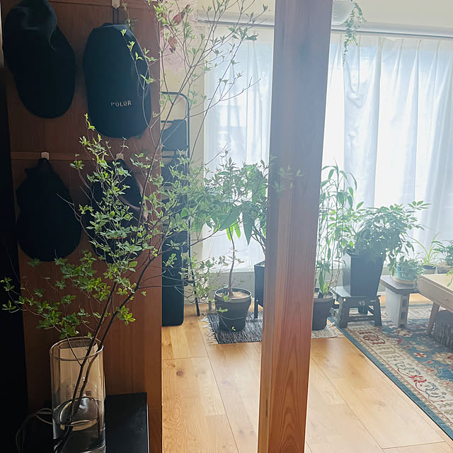 shin-chaa-mamaさんの実例写真