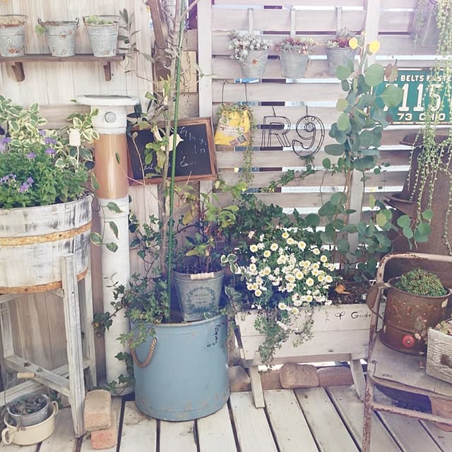 ai.さんの実例写真
