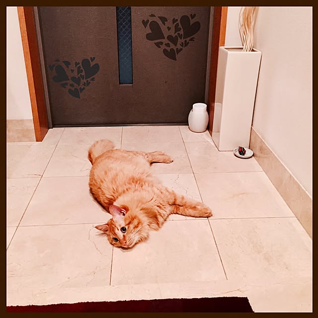 Ryokoさんの実例写真