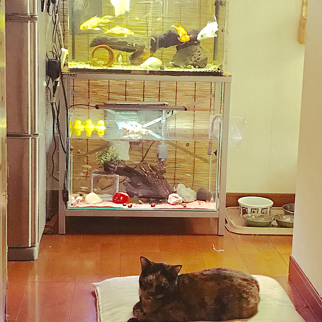 tornadeさんの実例写真