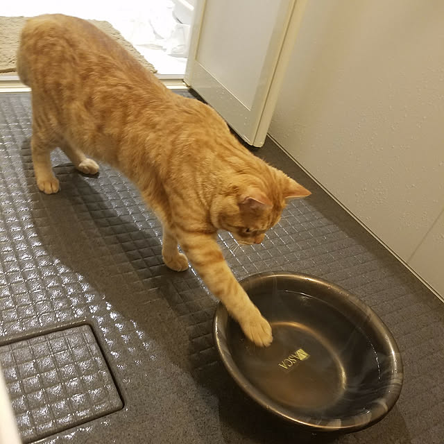 C.Tさんの実例写真