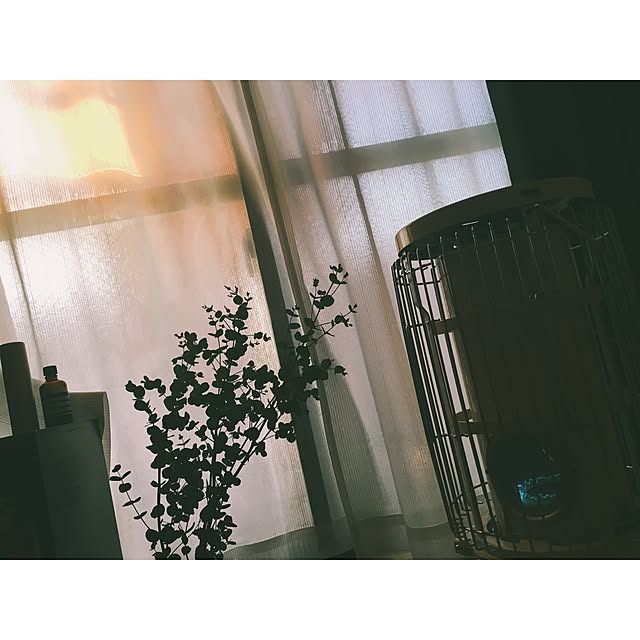 miiiさんの実例写真