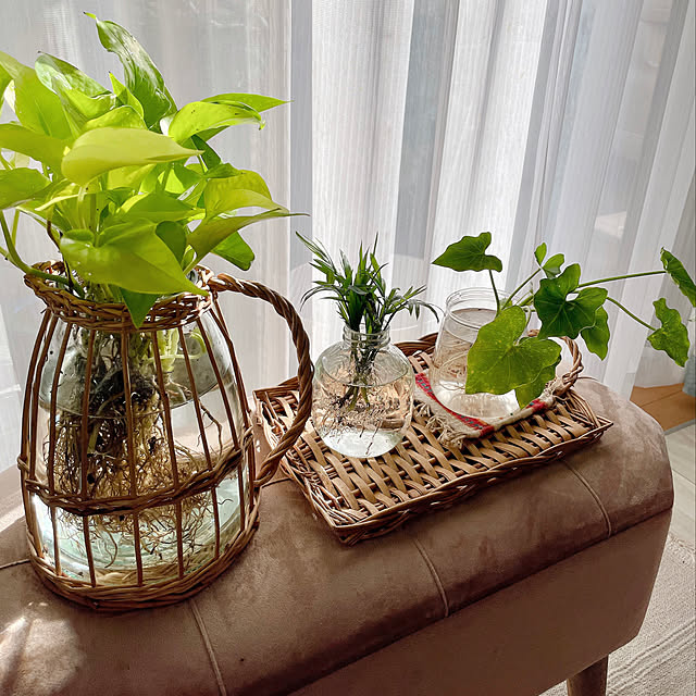 serotiさんの実例写真