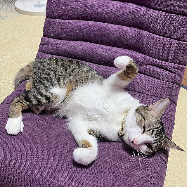 nacchi4さんの実例写真