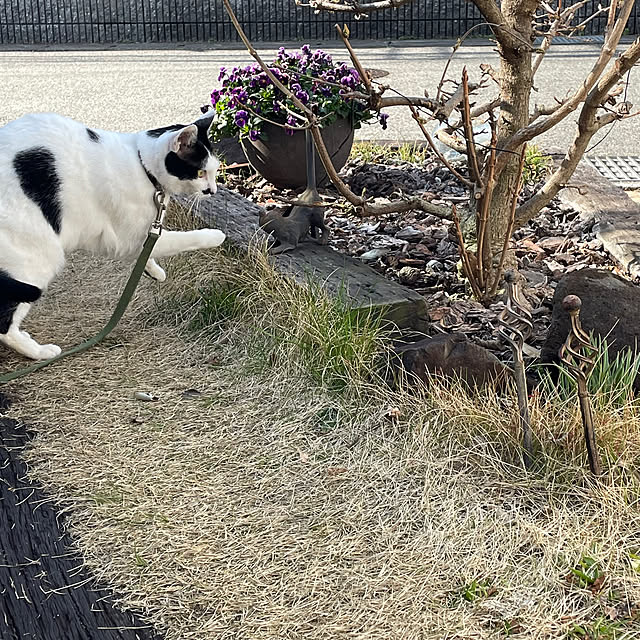 nobikoさんの実例写真