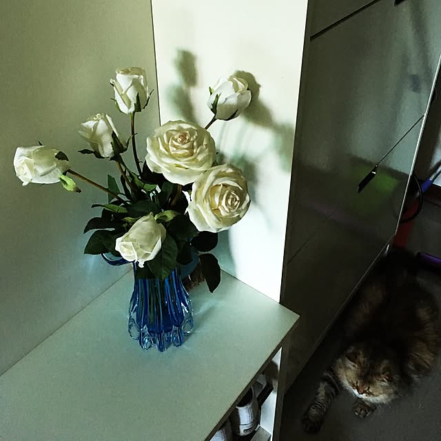 Kikiさんの実例写真