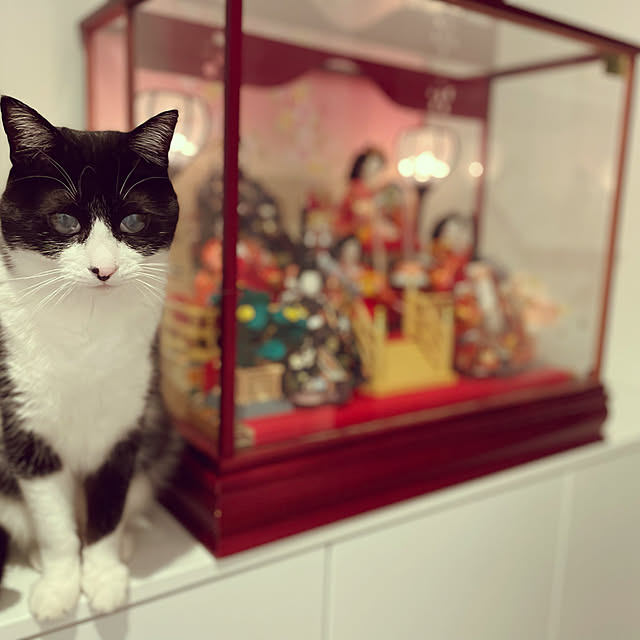 uco....7さんの実例写真