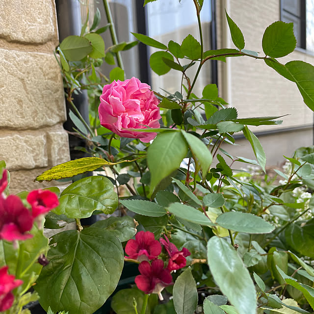 natsumiさんの部屋