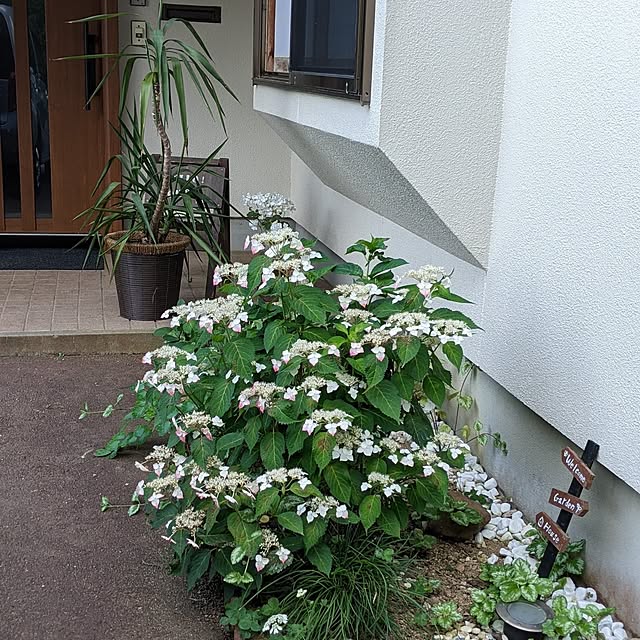 hiroさんの部屋