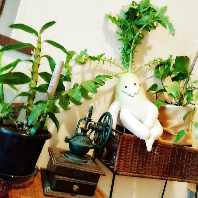 Chomeakiさんの実例写真