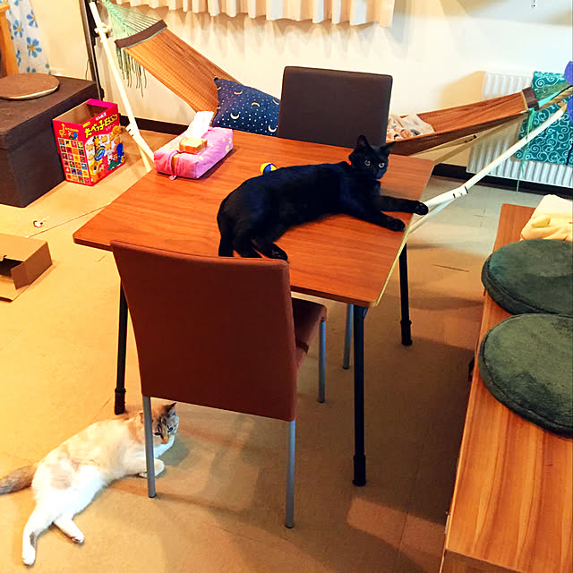 nanaさんの実例写真