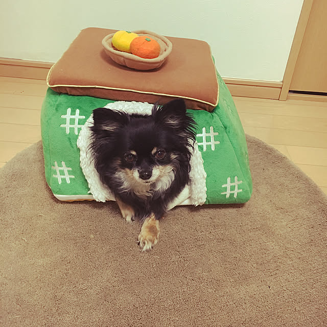 cocoさんの実例写真