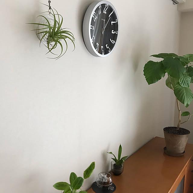 yzさんの実例写真