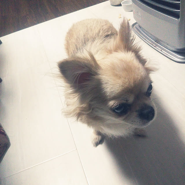 kiraさんの実例写真