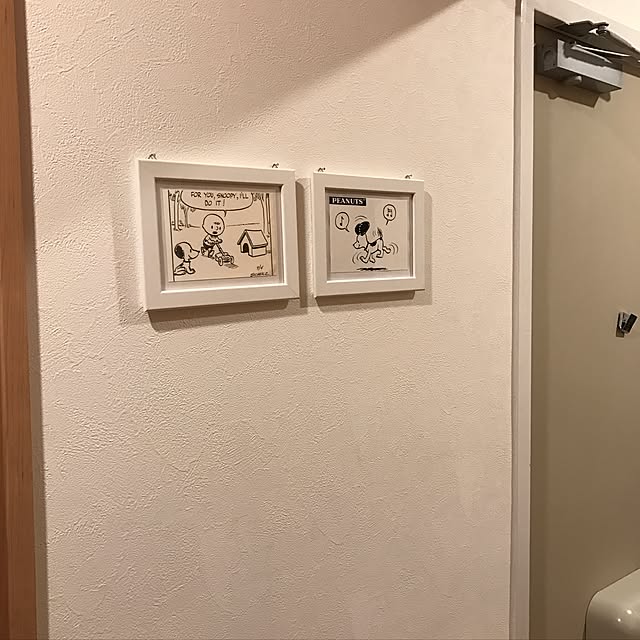momoさんの実例写真