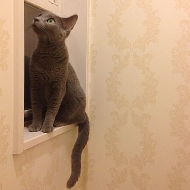RMHさんの実例写真