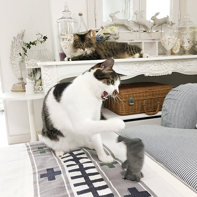 yuchiさんの実例写真