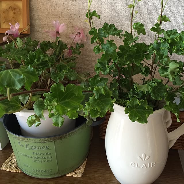 rokokoさんの実例写真