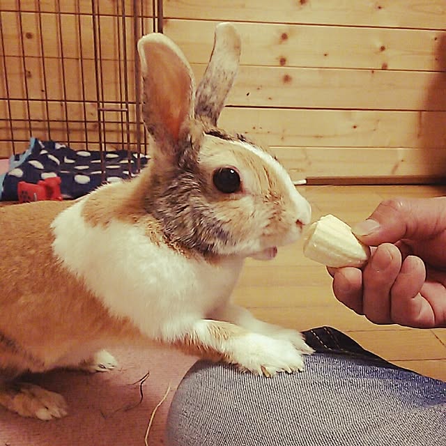 uttii703さんの実例写真
