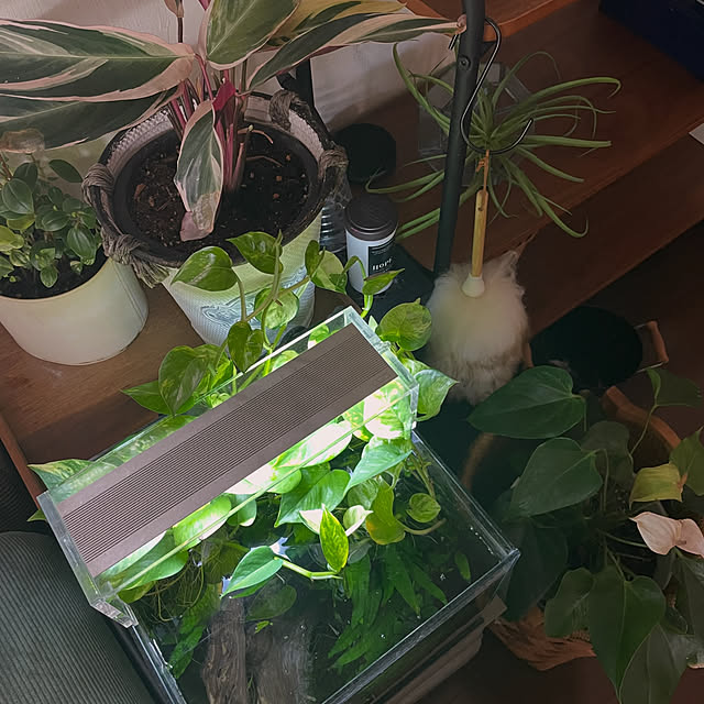 kuroさんの部屋