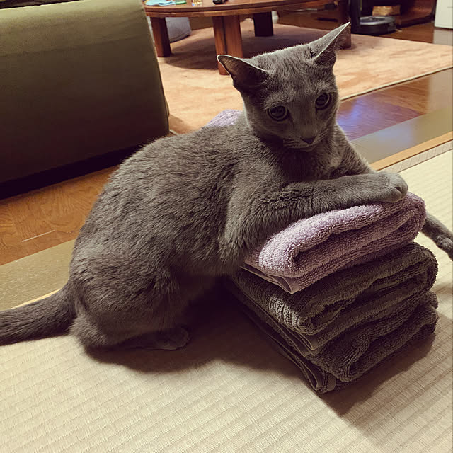 kanaさんの実例写真
