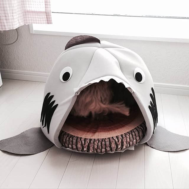 risapinkさんの実例写真