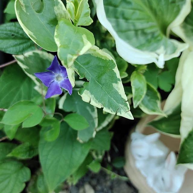 kiraさんの部屋