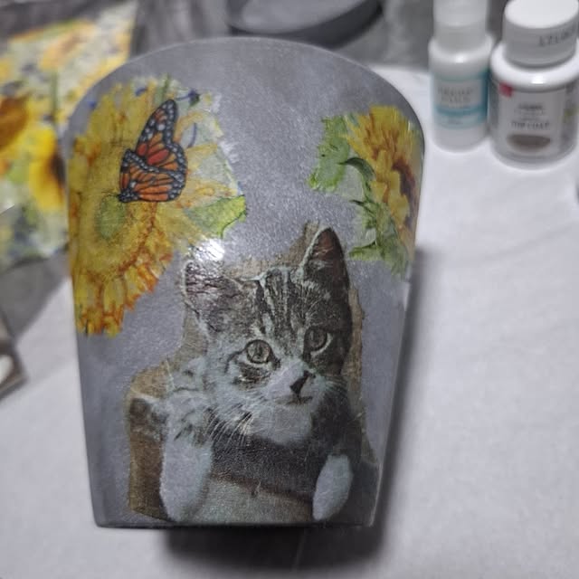 noaさんの実例写真