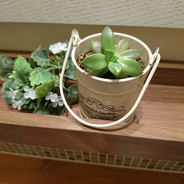 m__kashiさんの実例写真
