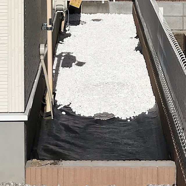licoryopaさんの実例写真