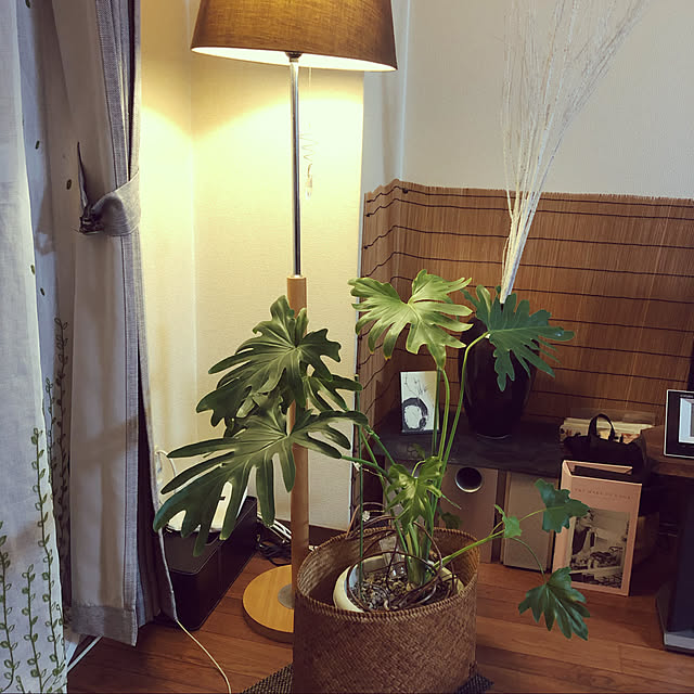 cocoro.happyday1さんの実例写真