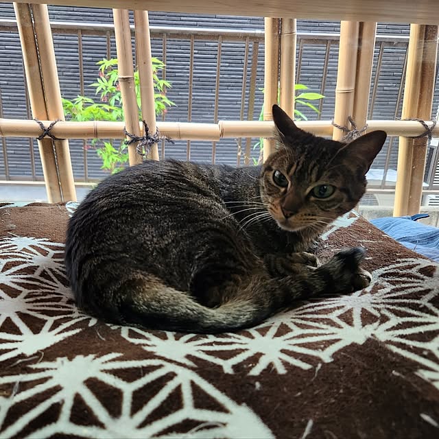 taroさんの実例写真