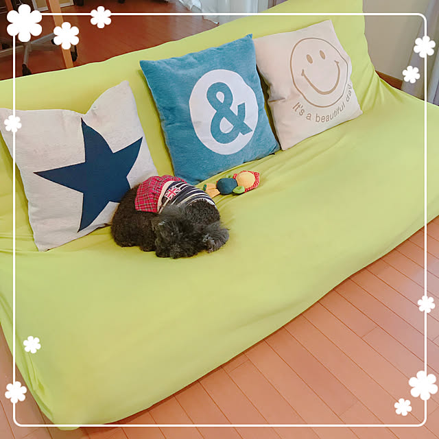 makkoさんの実例写真