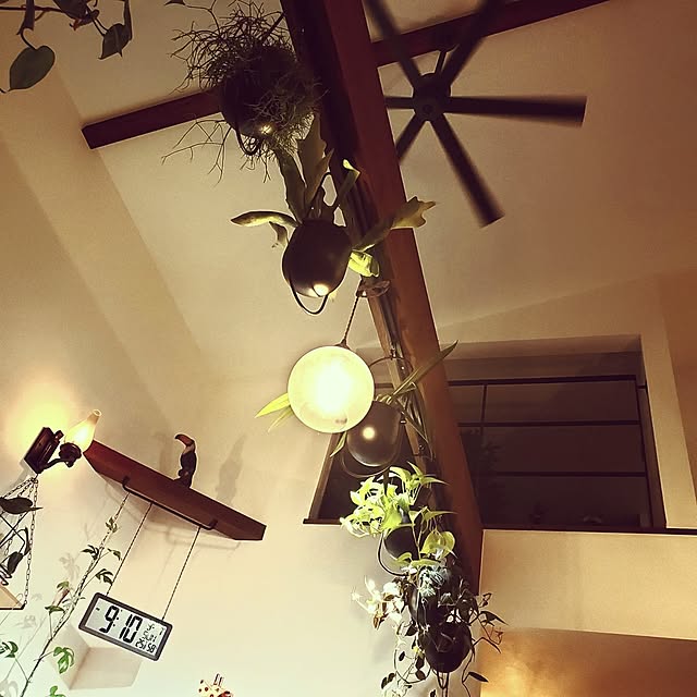 rimoleoさんの実例写真