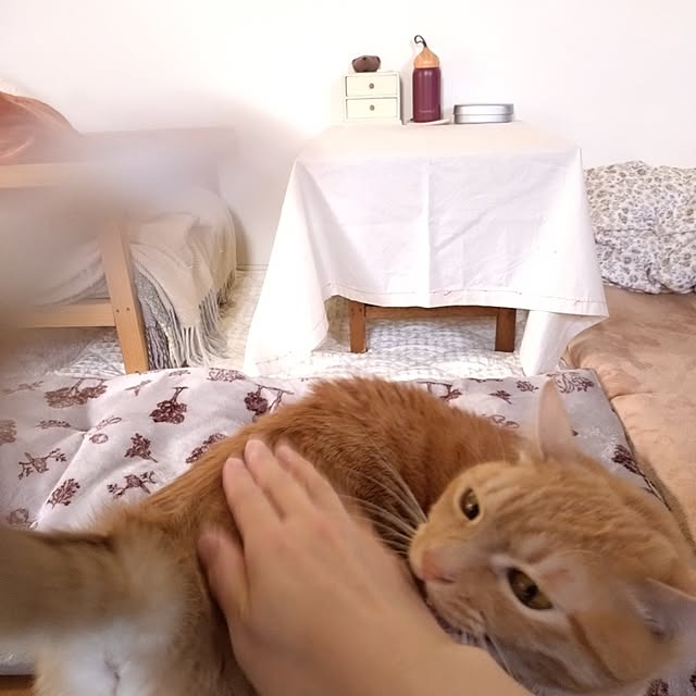 mayutan.さんの部屋