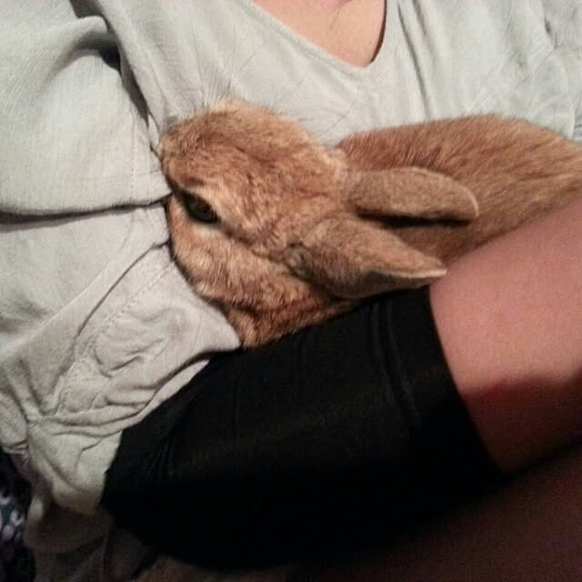acaさんの実例写真