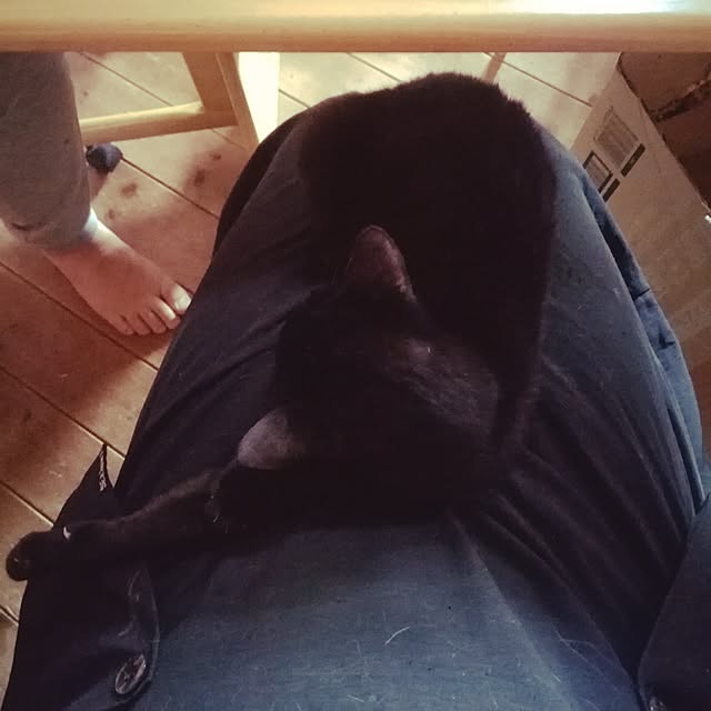 Maki-nekomamireさんの実例写真