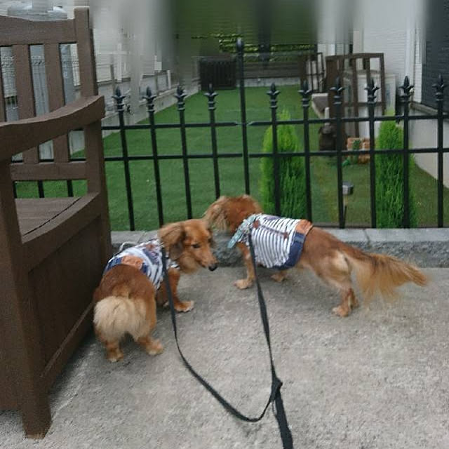 furukumaさんの実例写真