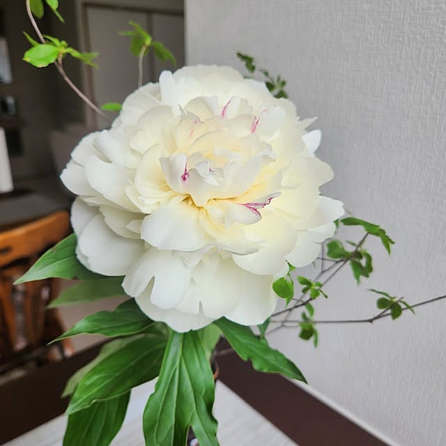 love1017さんの部屋
