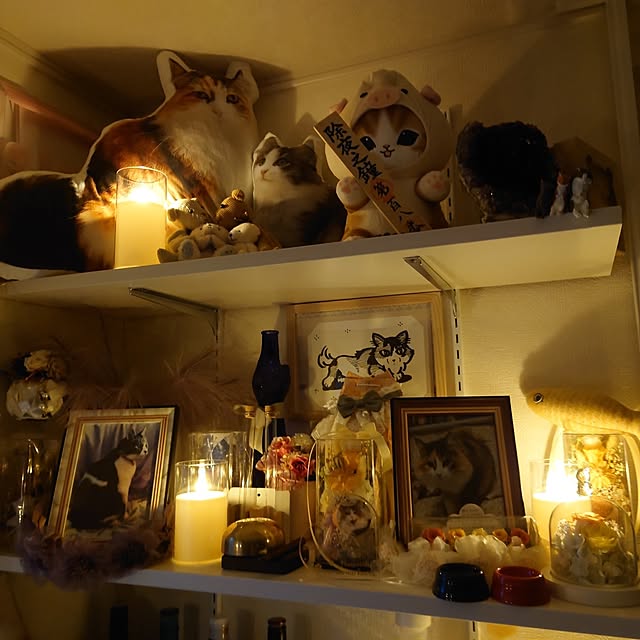 mo.a.i.さんの部屋