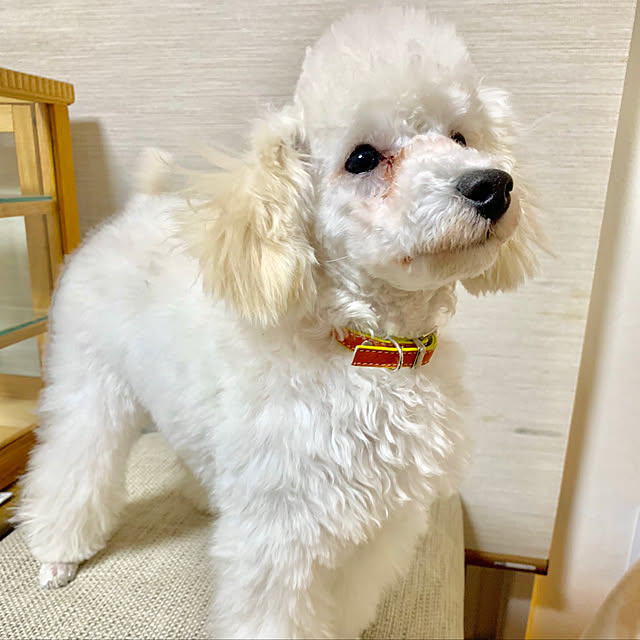 BUNさんの実例写真