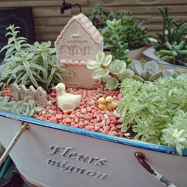 ミニチュアガーデン/多肉寄せ植え/ウッドデッキ/机/箱庭の ミニチュアガーデン/多肉寄せ植え/ウッドデッキ/机/箱庭の