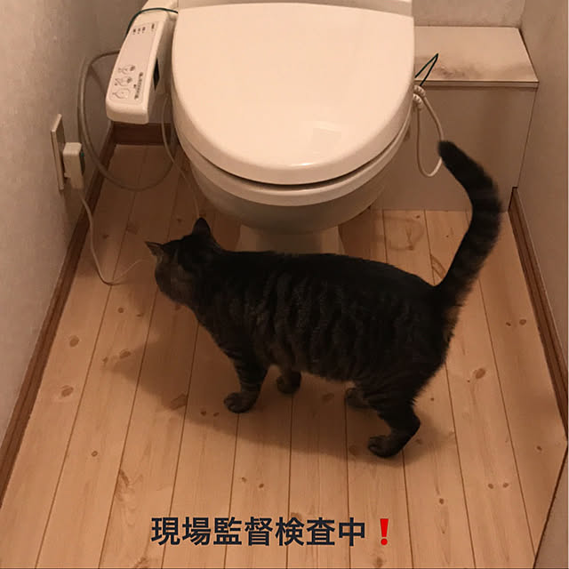 ako_a_kikoさんの実例写真