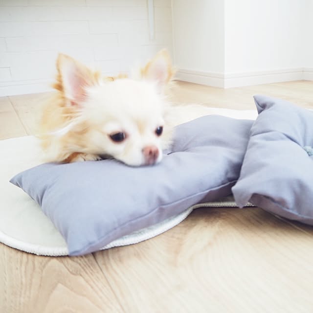 mariさんの実例写真