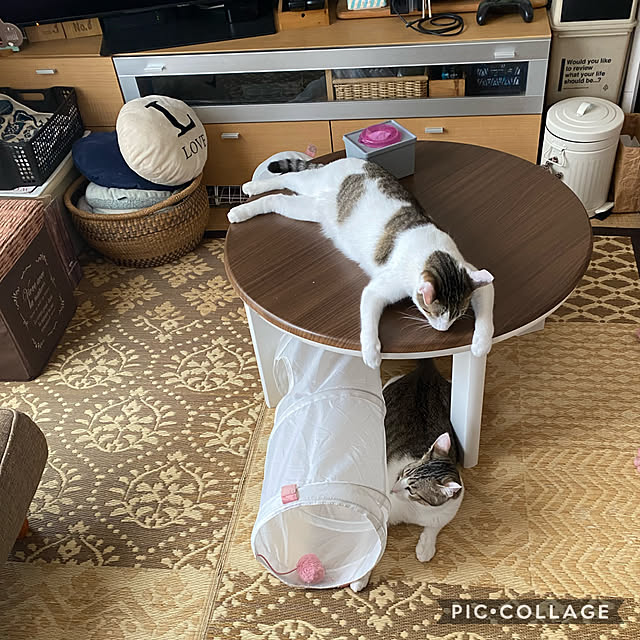 Lufuさんの実例写真